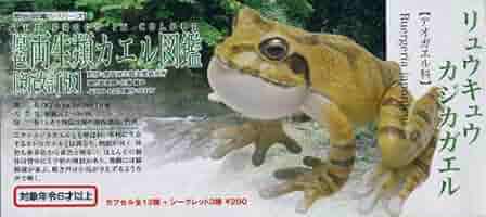 原色図鑑 原色両生類カエル図鑑 11種　ユージン ユージン|原色両生類カエル図鑑[新改訂版]|HARDOFFオフモール